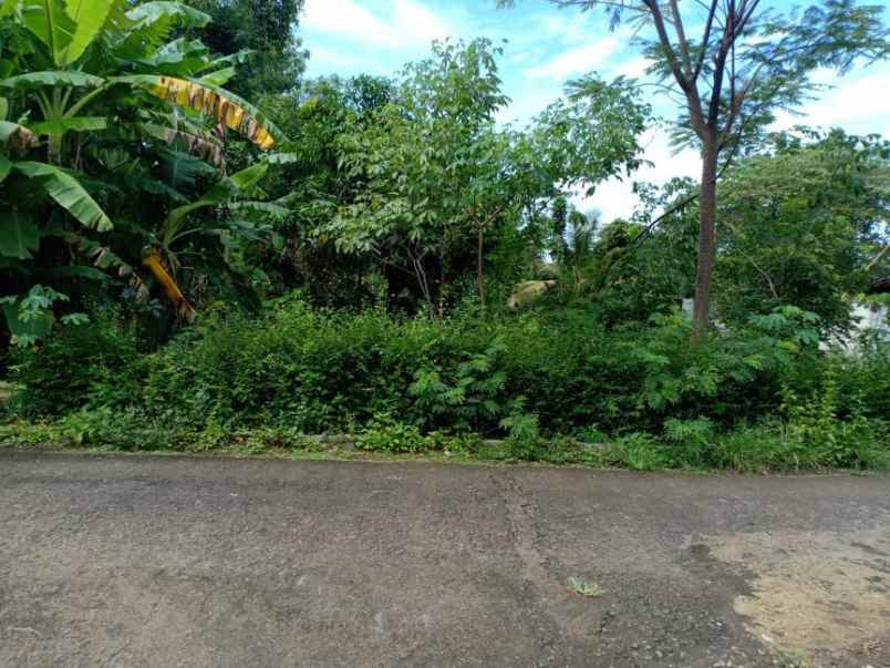 tanah mojogedang karanganyar