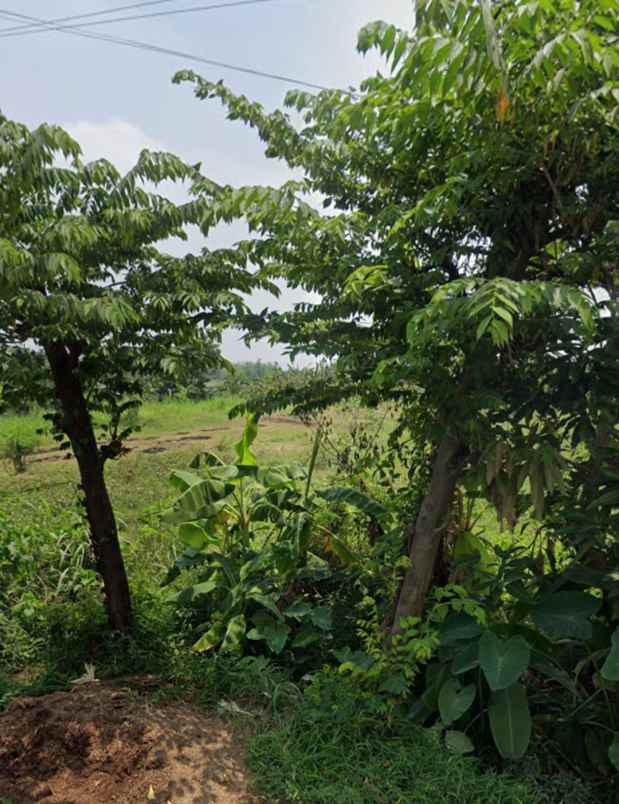 tanah nol raya trawas row jalan akses truck