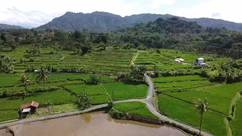 tanah pesawahan view pegunungan subang jawa barat