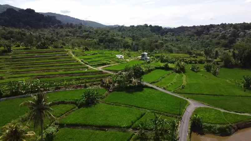 tanah pesawahan view pegunungan subang jawa barat