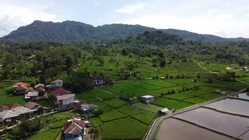 tanah pesawahan view pegunungan subang jawa barat