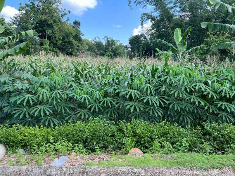 tanah siap bangun hanya 175 juta karanganyar