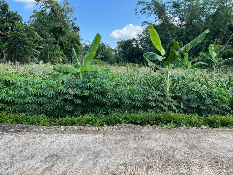 tanah siap bangun hanya 175 juta karanganyar