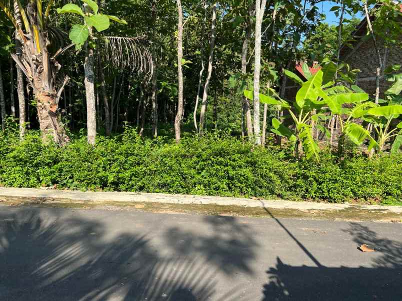 tanah strategis 250 juta utara kantor kecamatan kerjo