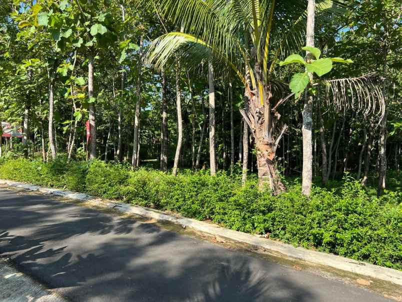 tanah strategis 250 juta utara kantor kecamatan kerjo