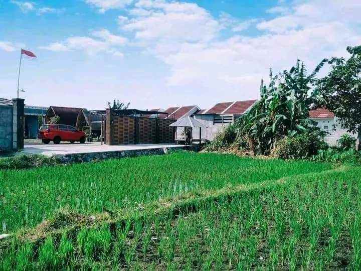 tanah strategis pusat pendidikan kota mataram