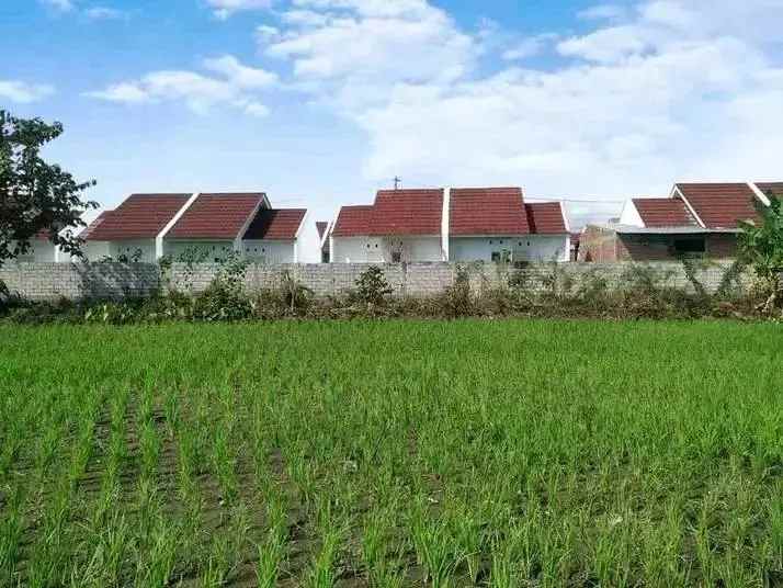 tanah strategis pusat pendidikan kota mataram