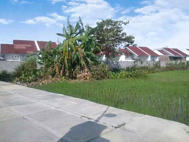 tanah strategis pusat pendidikan kota mataram