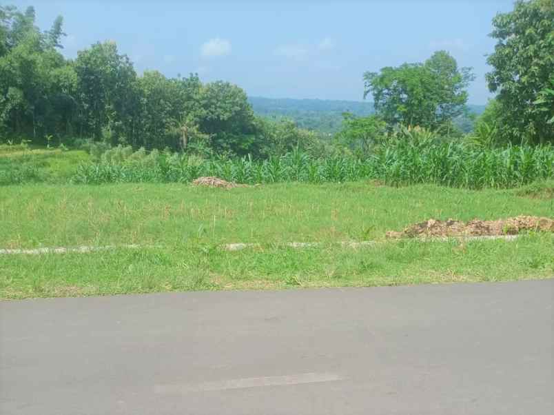 tanah subur 1370m cocok untuk kebun karanganyar