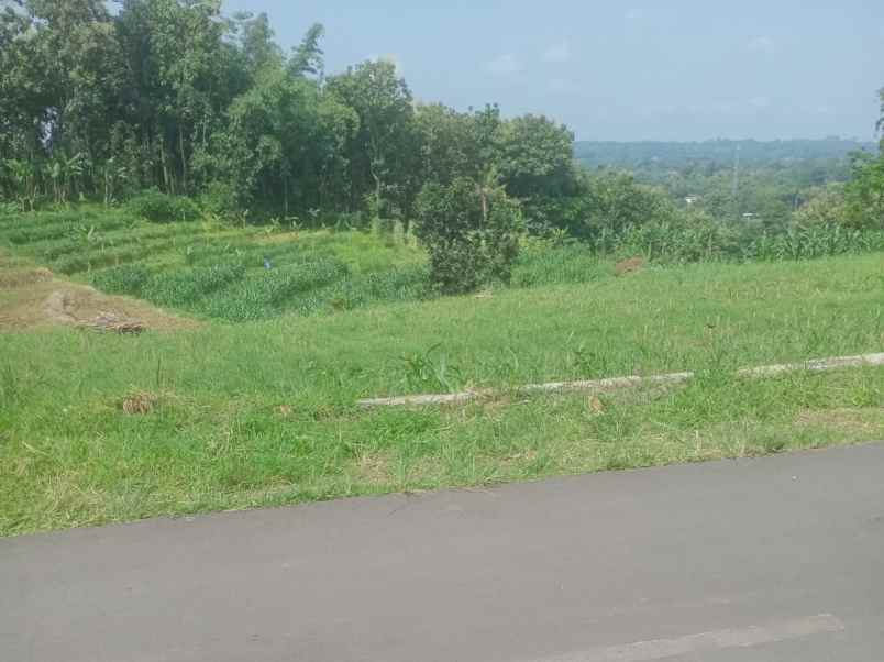 tanah subur 1370m cocok untuk kebun karanganyar