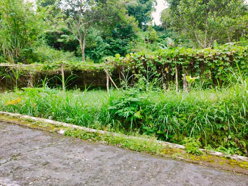 tanah tawangmangu karanganyar