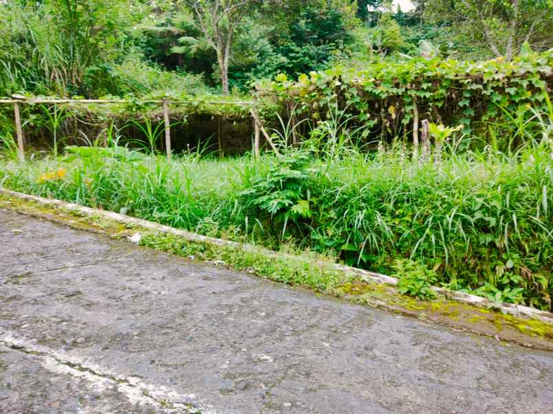 tanah tawangmangu karanganyar