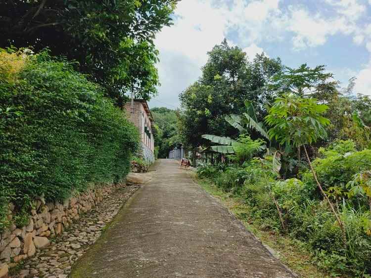 tanah tepi jl raya batujamus