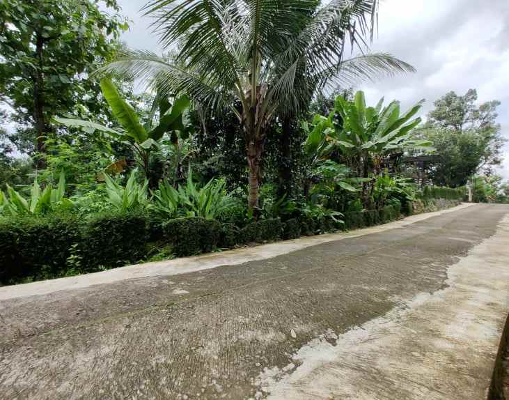 tanah tepi jl raya batujamus