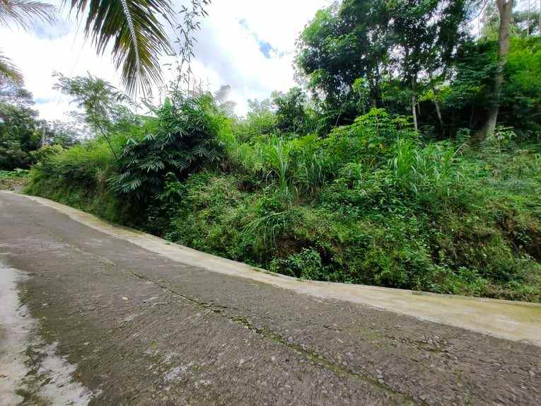 tanah tepi jl raya batujamus