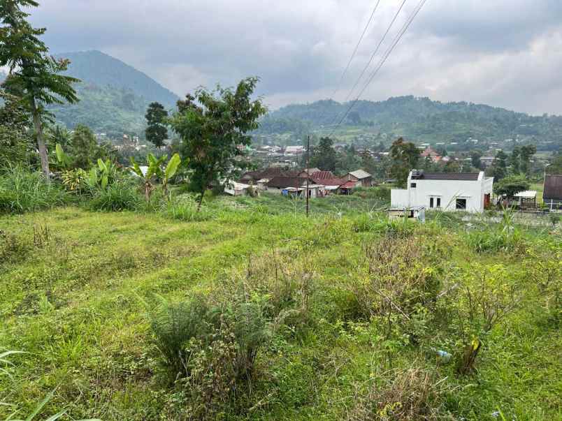 tanah udara dingin 1000m kemuning karanganyar