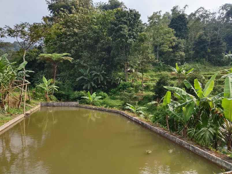 vila kolam ikan dekat sungai view bagus