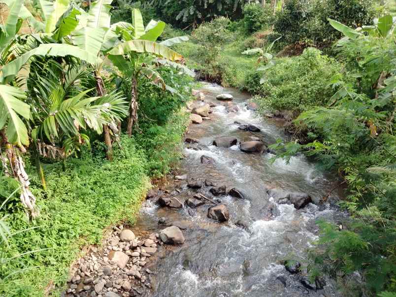 vila kolam ikan dekat sungai view bagus