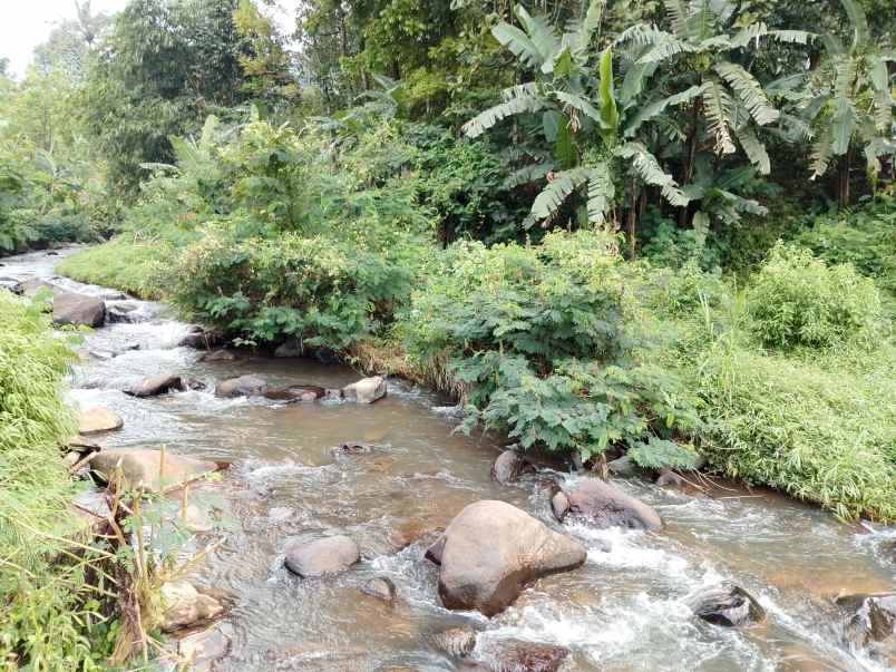 vila kolam ikan dekat sungai view bagus