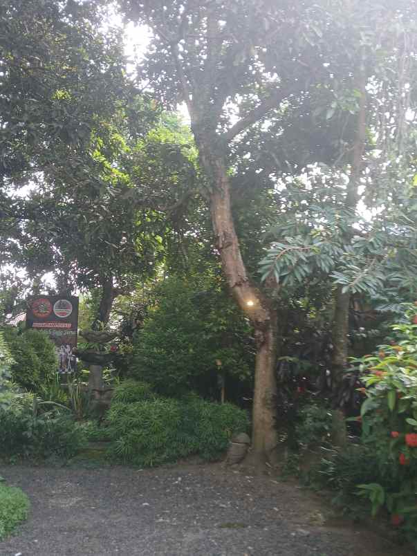 dijual 5 55 are jl kertanegara ubung kaja denpasar