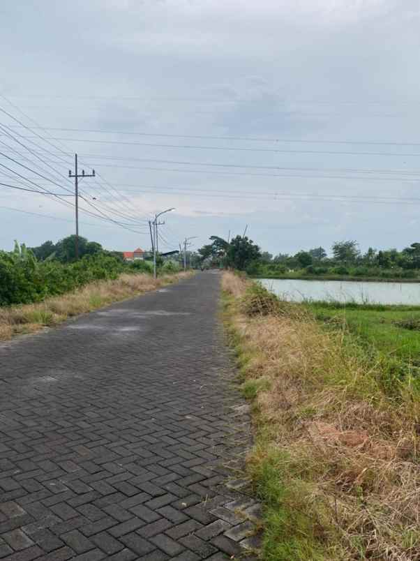 dijual cepat tanah murah di duduksampeyan gresik