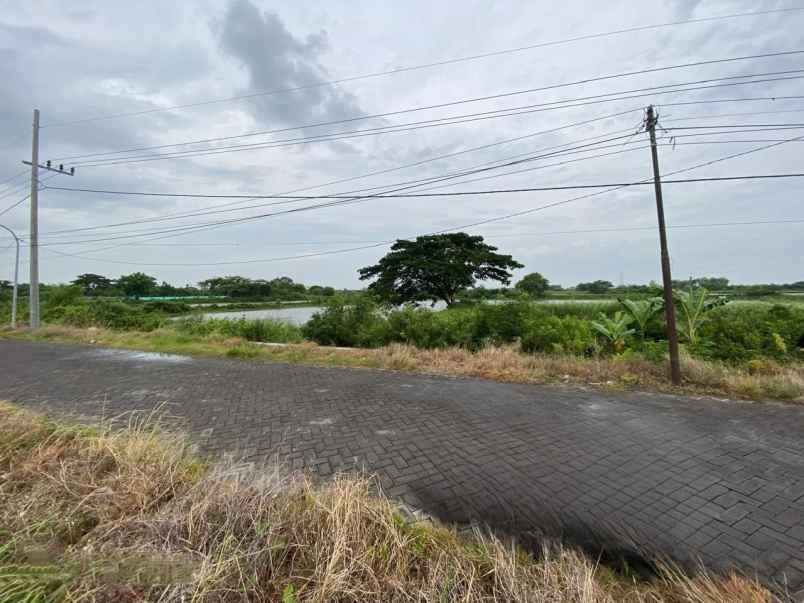 dijual cepat tanah murah di duduksampeyan gresik