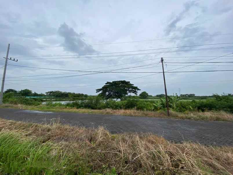 dijual cepat tanah murah di duduksampeyan gresik