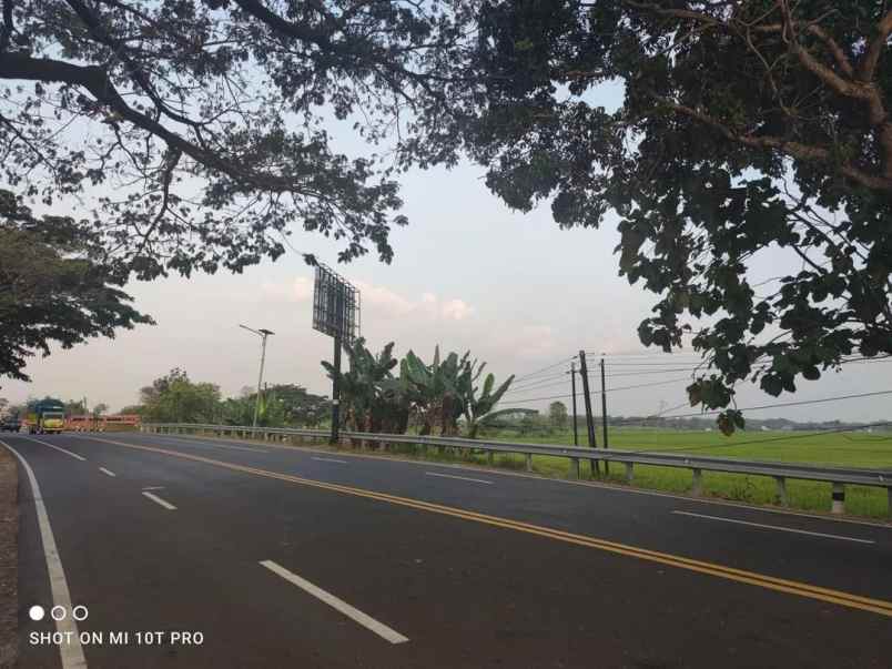 dijual cepat tanah sawah di balerejo kab madiun