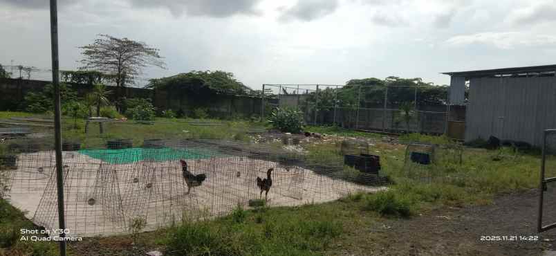 dijual ruko gudang kantor jl raya kandangan cerme