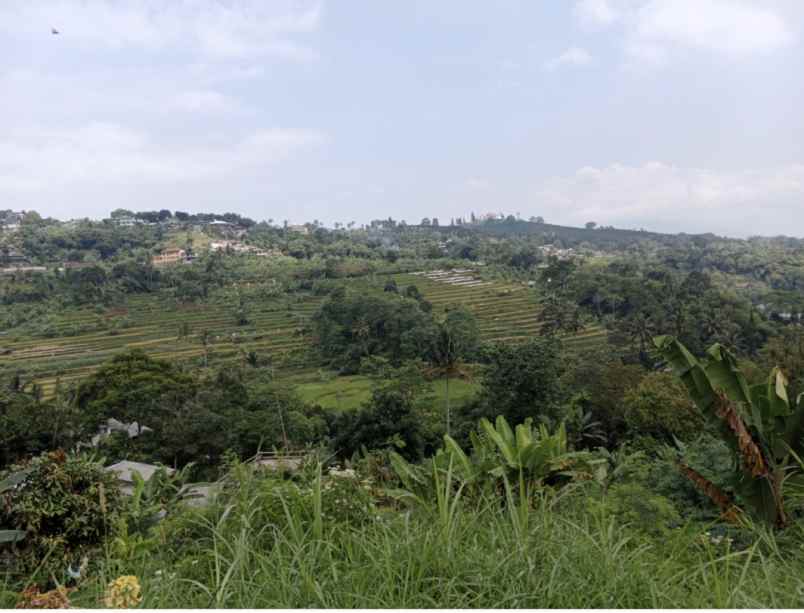 dijual rumah cipayung puncak jawa barat