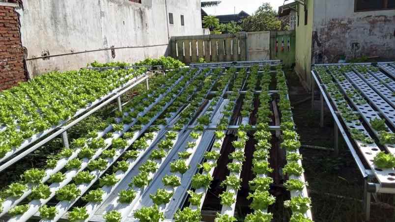 dijual rumah dan tanah