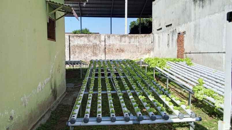 dijual rumah dan tanah