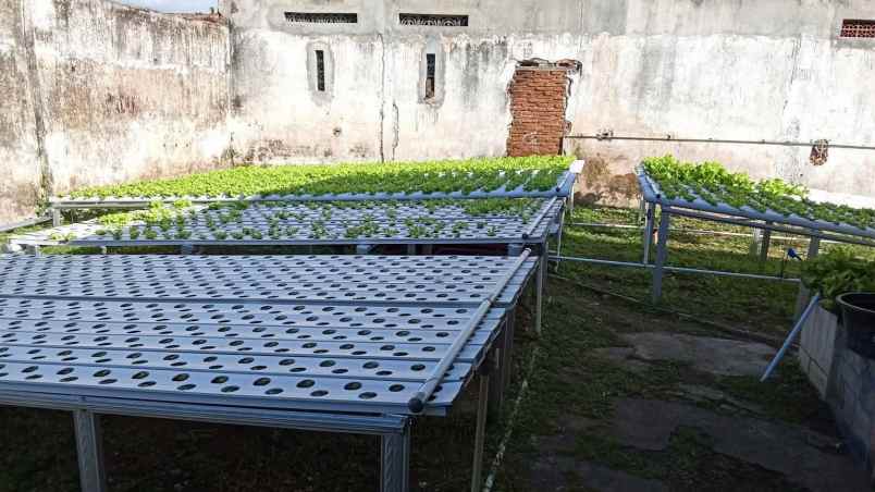 dijual rumah dan tanah