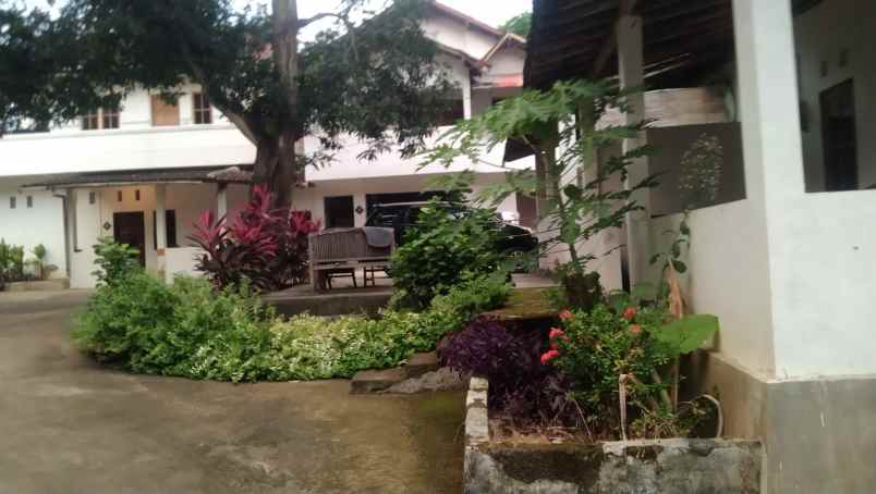 dijual rumah dijual rumah di jl arjuna