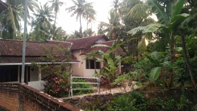 dijual rumah dijual rumah di jl arjuna