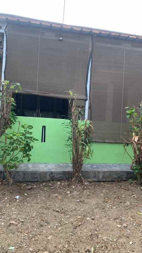 dijual rumah dijual rumah di link