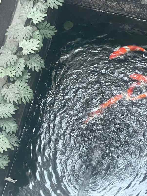 dijual rumah jl rawamangun jakarta timur