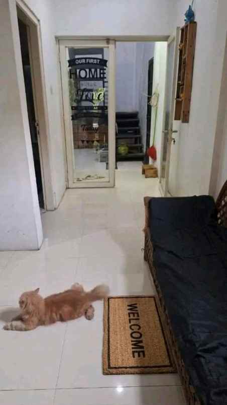 dijual rumah kalasan