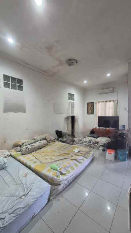 dijual rumah kelapa kopyor kelapa gading