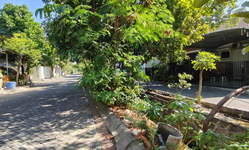 dijual rumah palm spring jambangan surabaya