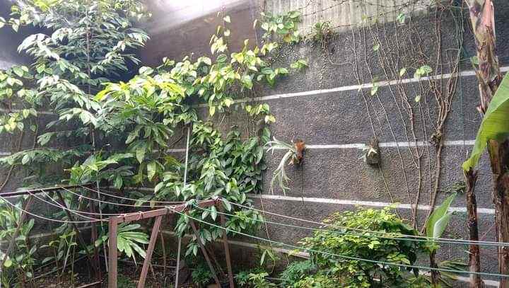 dijual rumah pondok hijau