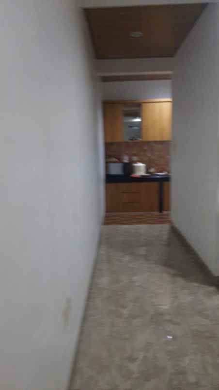 dijual rumah sawah lama