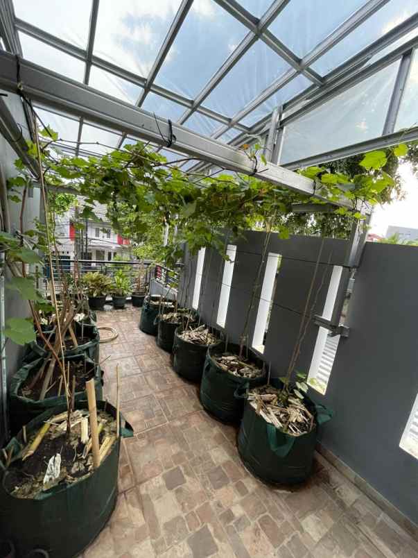 dijual rumah sunter dki