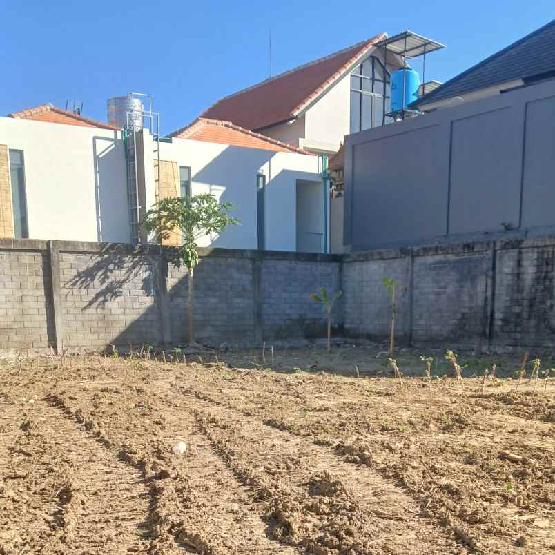 dijual tanah badak agung utara