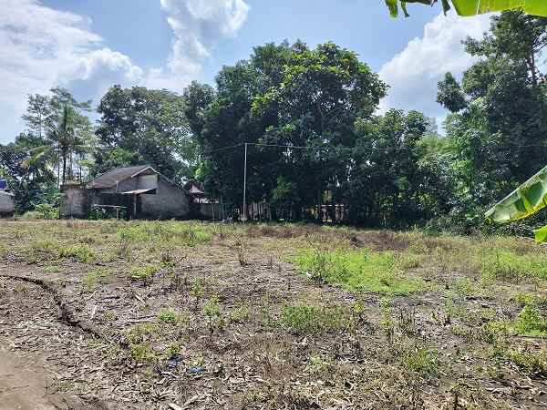 dijual tanah balungan margokaton
