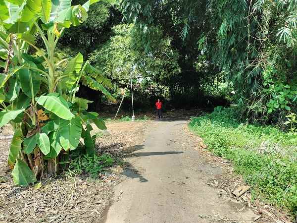 dijual tanah balungan margokaton