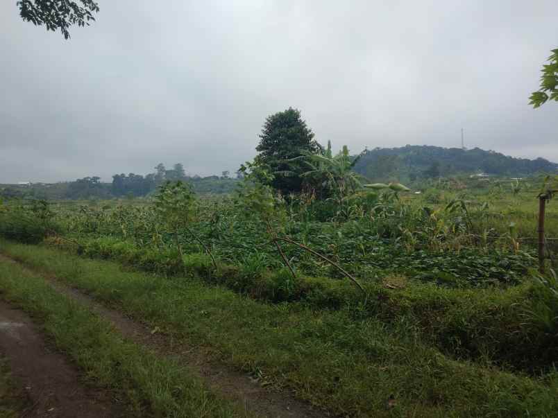 dijual tanah bojong cilimus kuningan