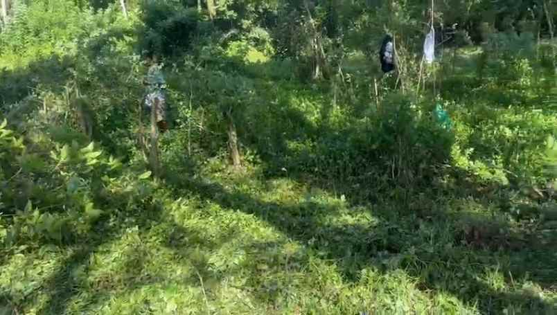 dijual tanah bonian selemadeg barat