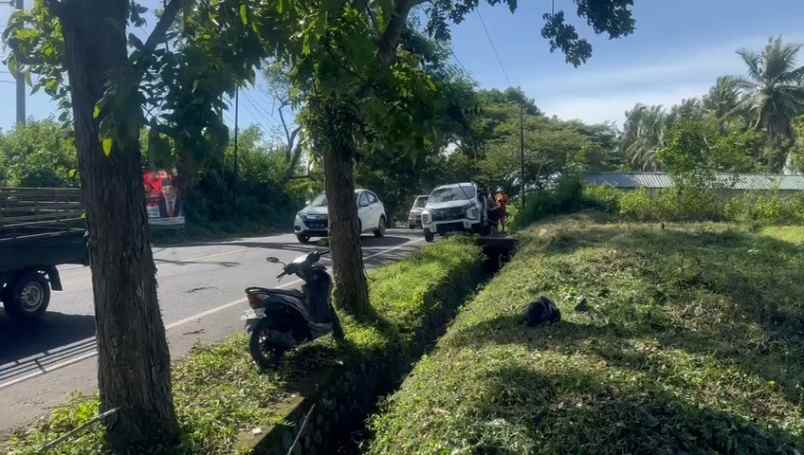 dijual tanah bonian selemadeg barat