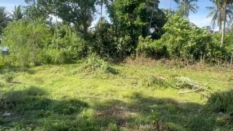 dijual tanah bonian selemadeg barat